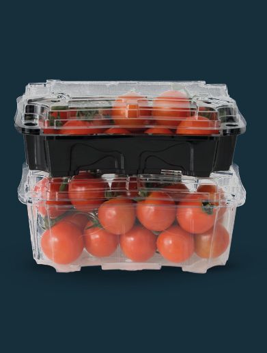 twin pack contenitori alimentari agricoli bobine pet e carta